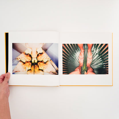 任航 : Ren Hang　Republic - Editions du LIC - 文福