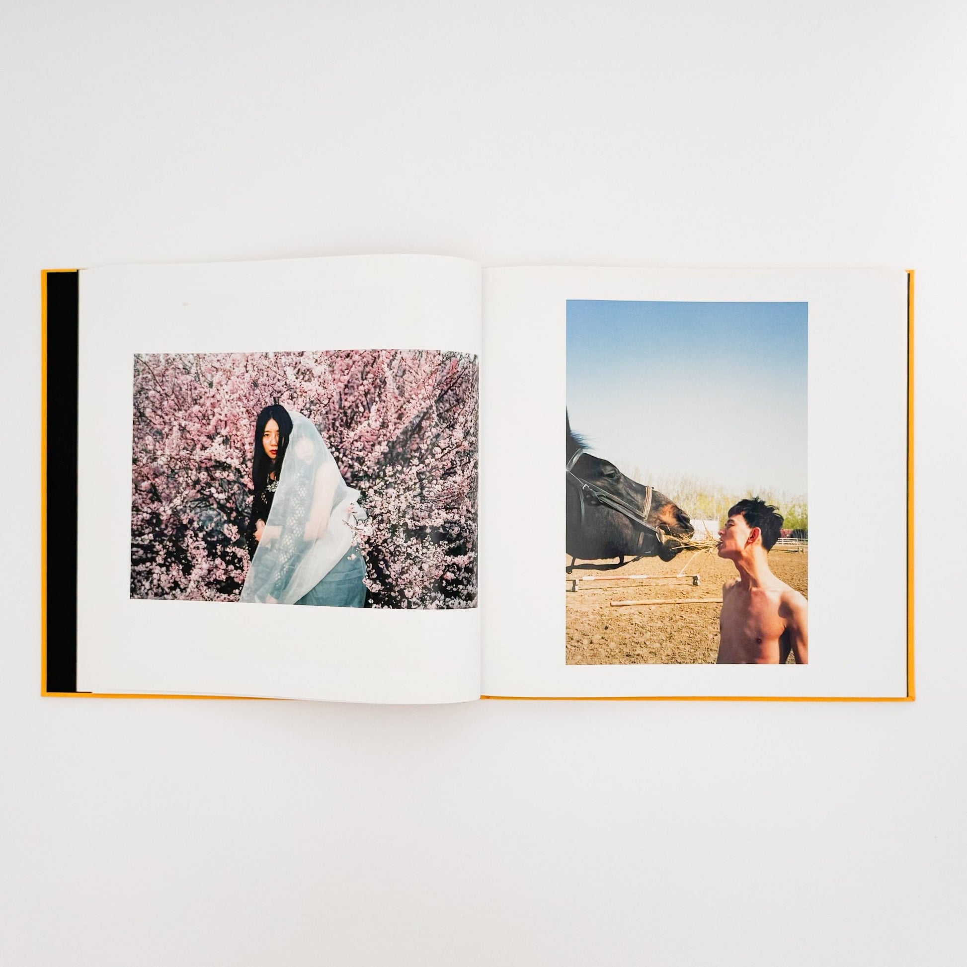 任航 : Ren Hang　Republic - Editions du LIC - 文福