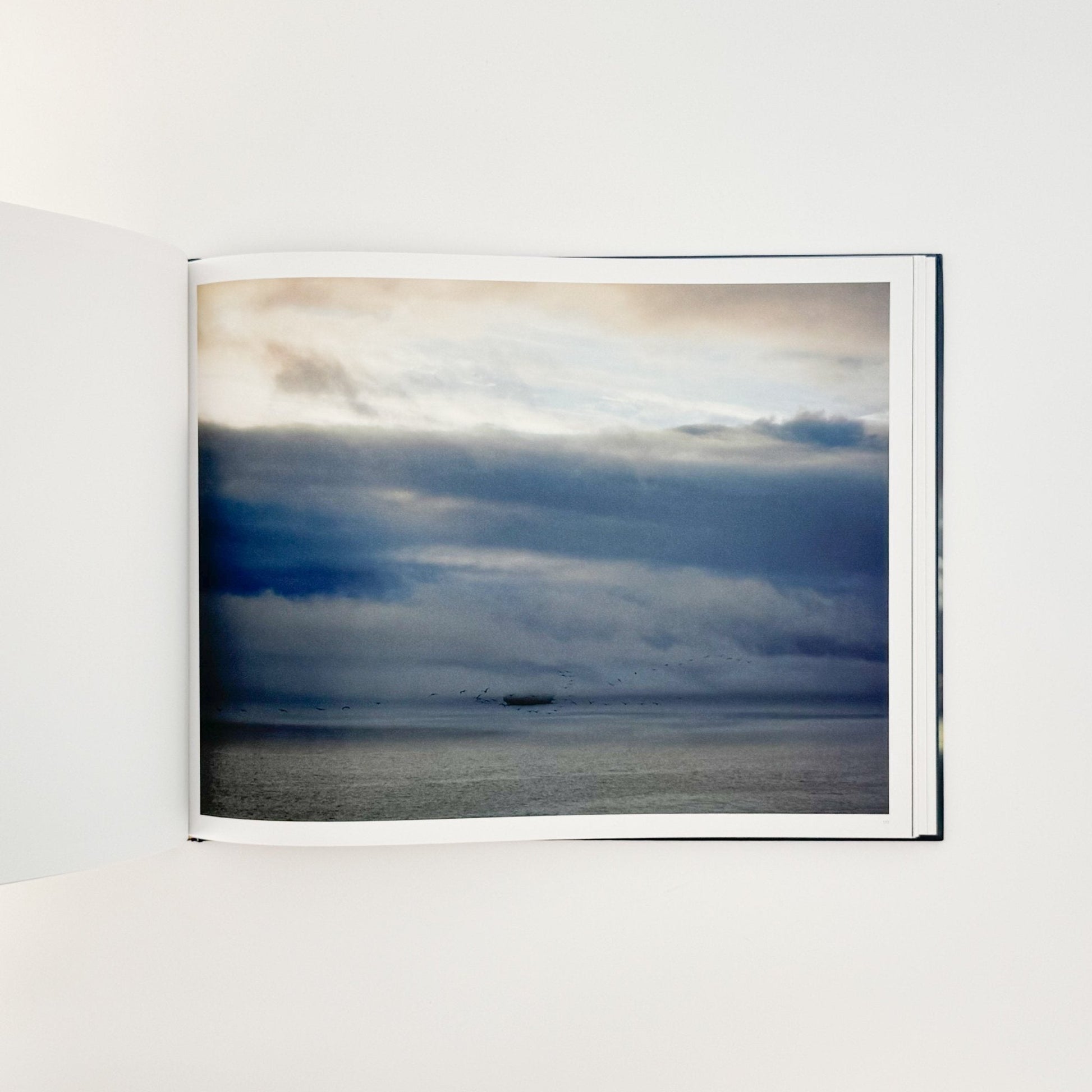 （英文）リチャード・ミズラック　カーゴ　Richard Misrach: Cargo - Aperture - 文福