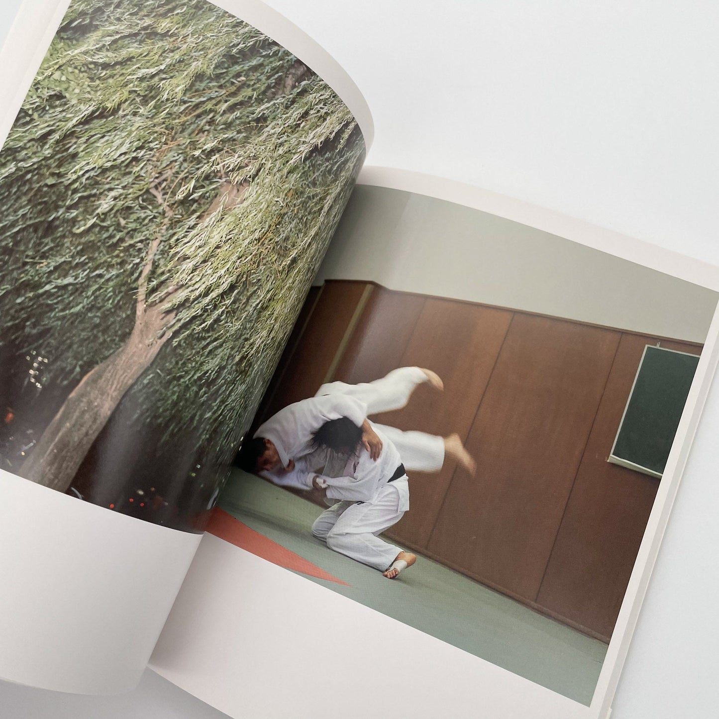 川内倫子　うたたね - 文福