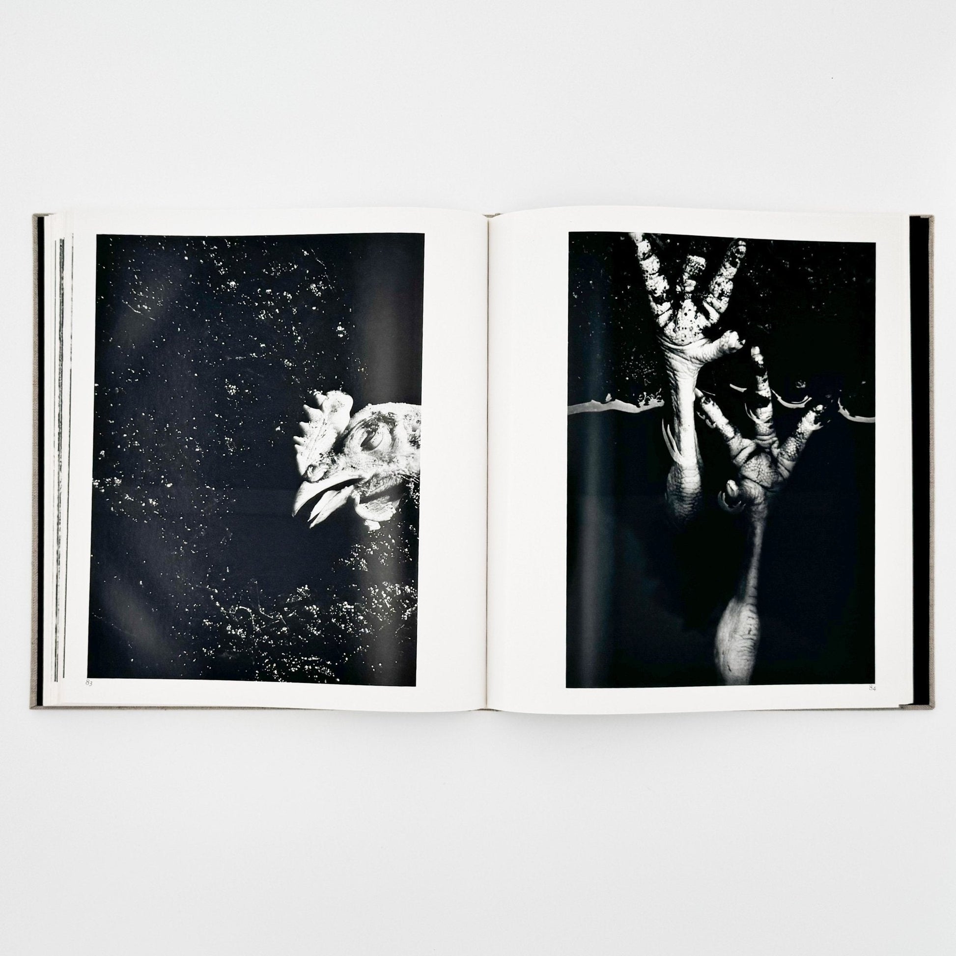 森永純　河　累影 / River, Its Shadow of Shadows - 邑元舎 - 文福