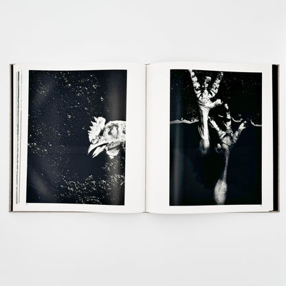 森永純　河　累影 / River, Its Shadow of Shadows - 邑元舎 - 文福