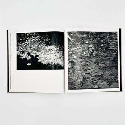 森永純　河　累影 / River, Its Shadow of Shadows - 邑元舎 - 文福