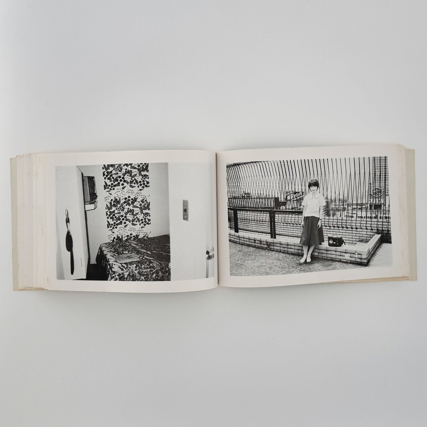 荒木経惟の偽日記 白夜書房