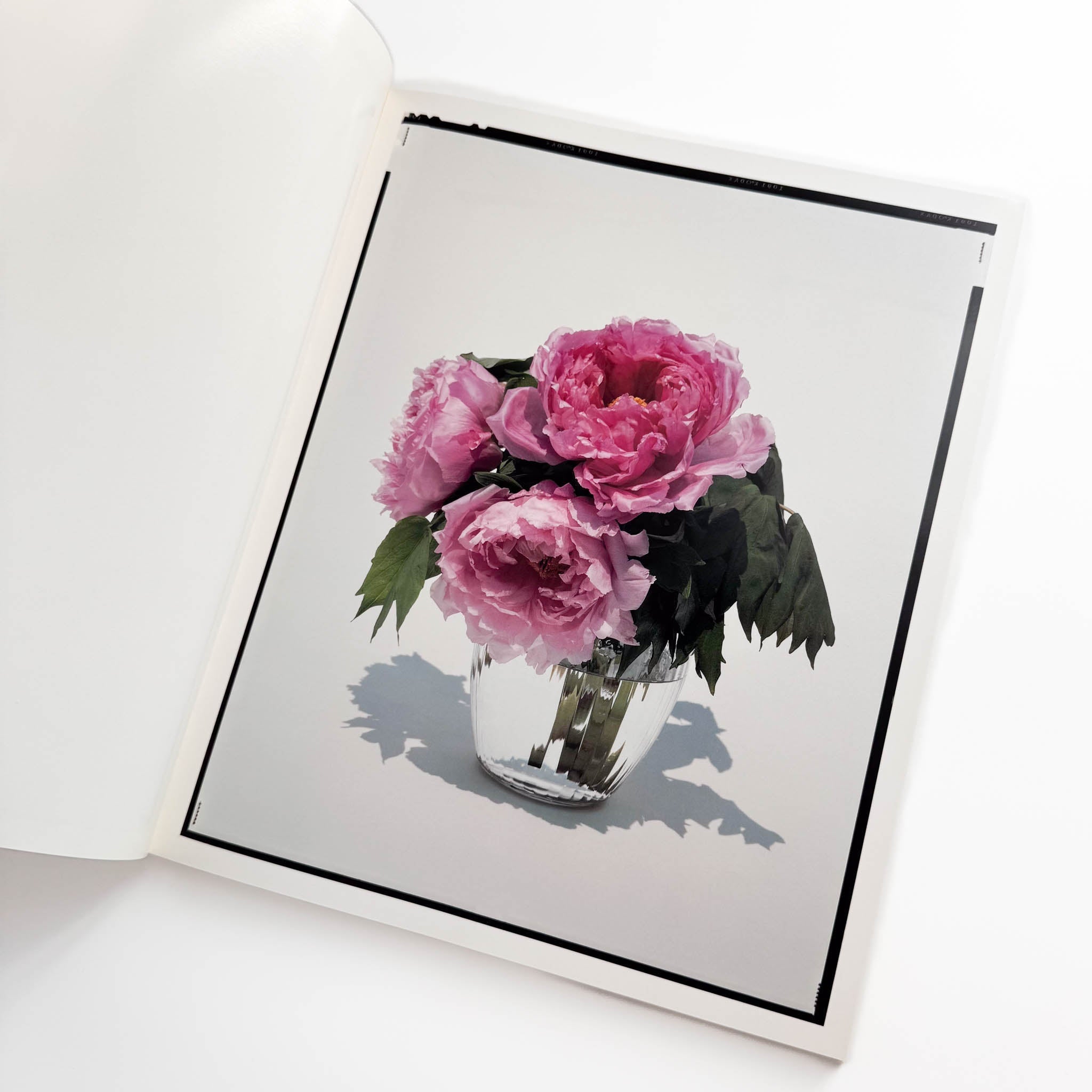 上田義彦写真集 FLOWERS – 文福