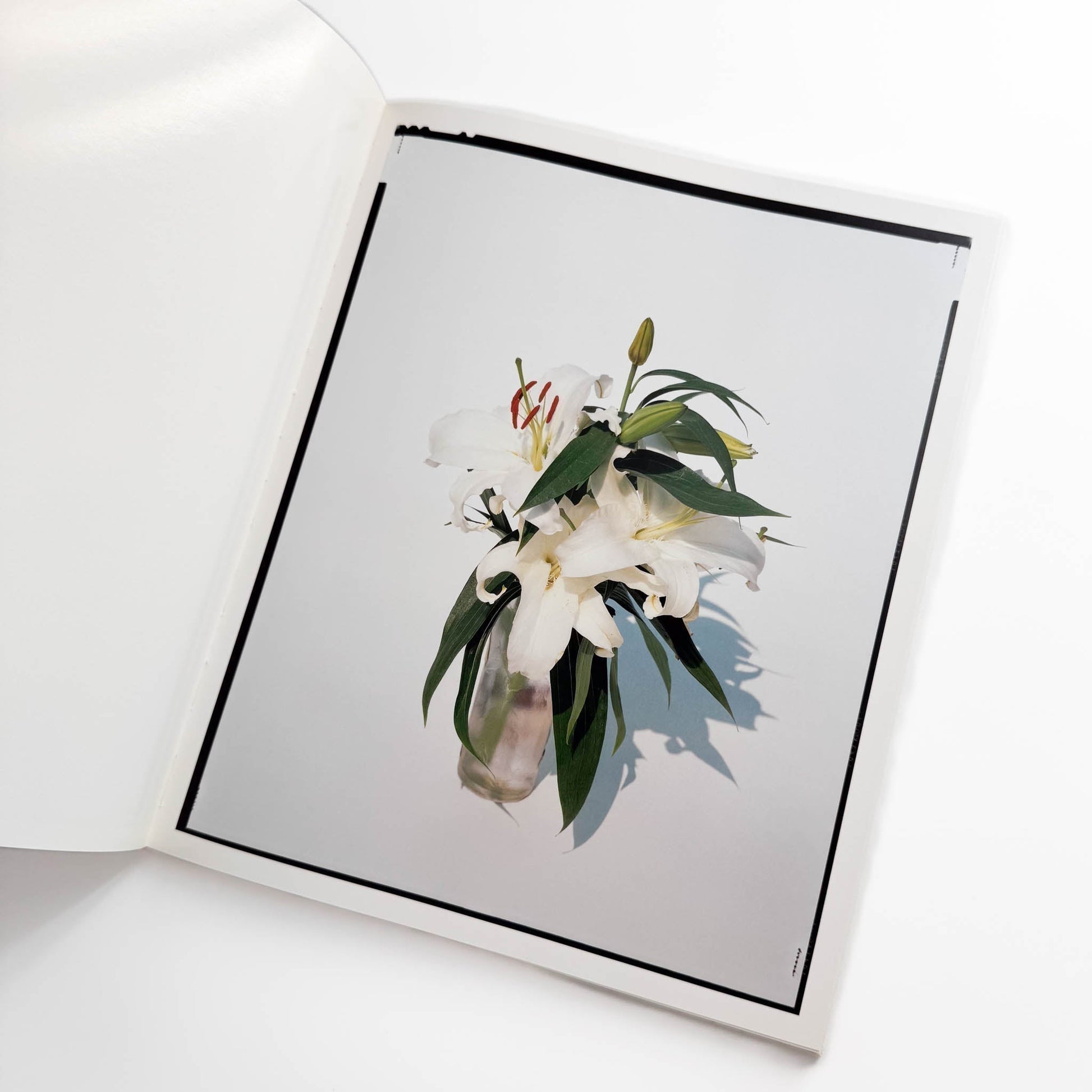 上田義彦　FLOWERS - 光琳社出版 - 文福