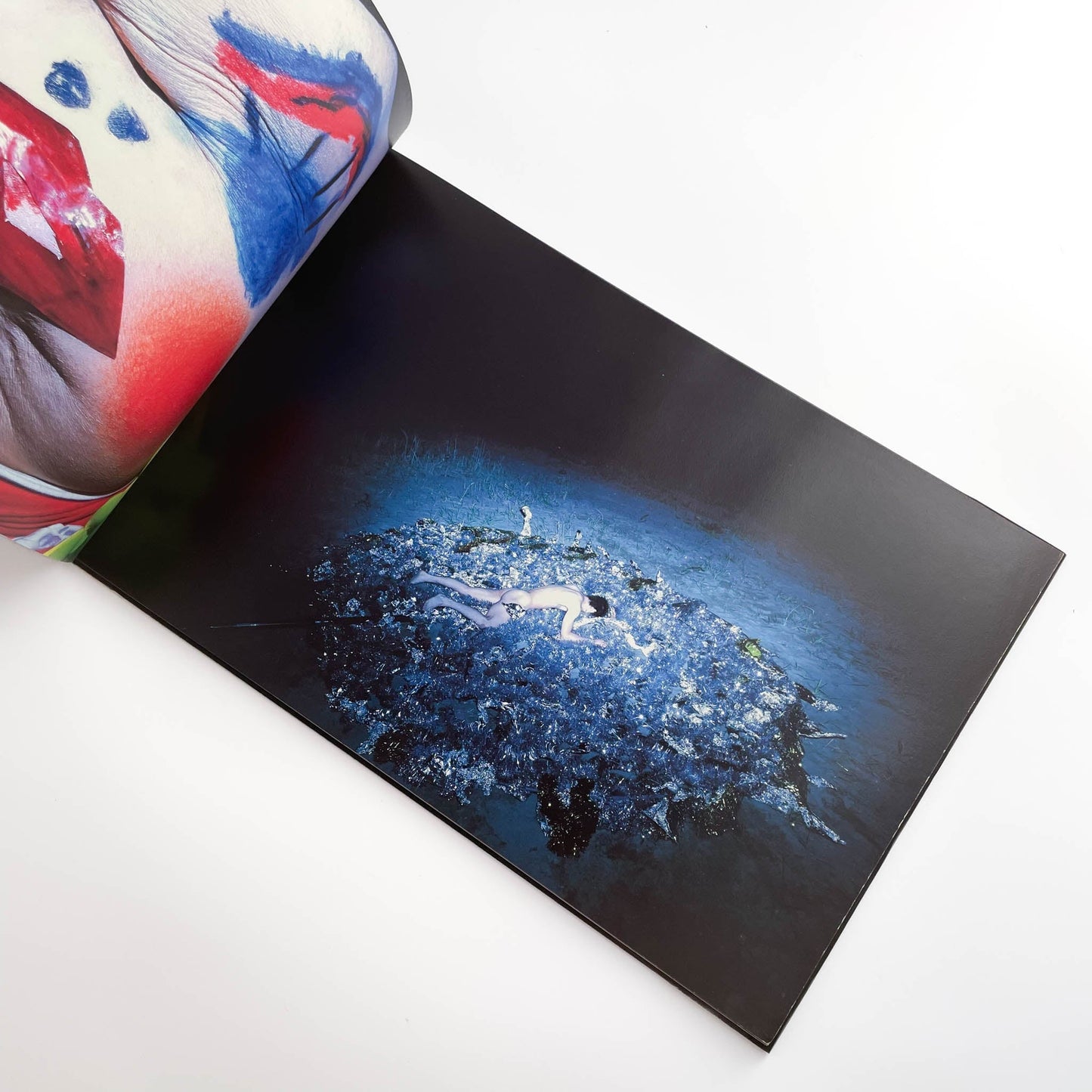 志賀理江子　カナリア　Canary 赤々舎