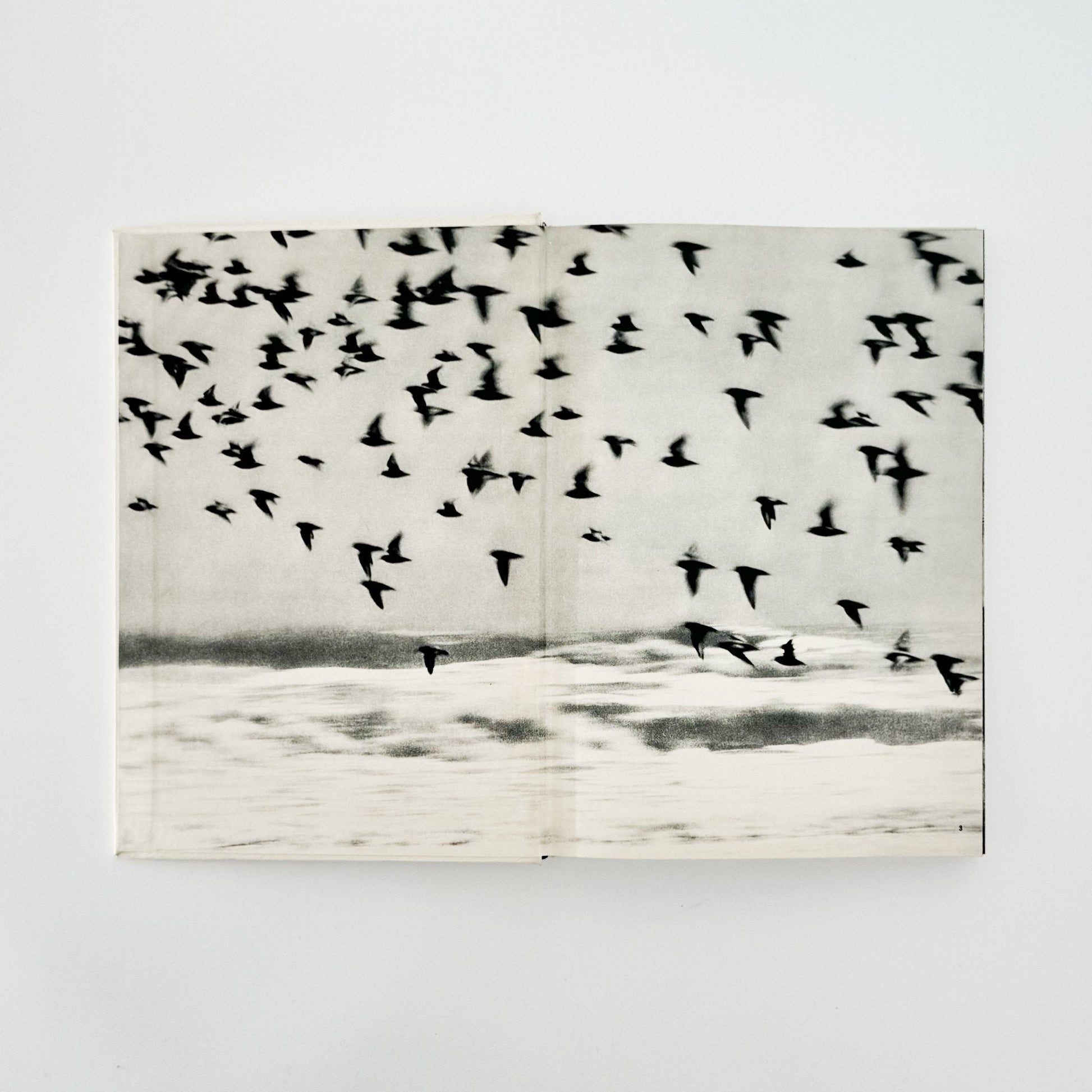 小関与四郎　九十九里浜　海に生きる人々 - 木耳社 - 文福