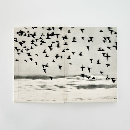 小関与四郎　九十九里浜　海に生きる人々 - 木耳社 - 文福