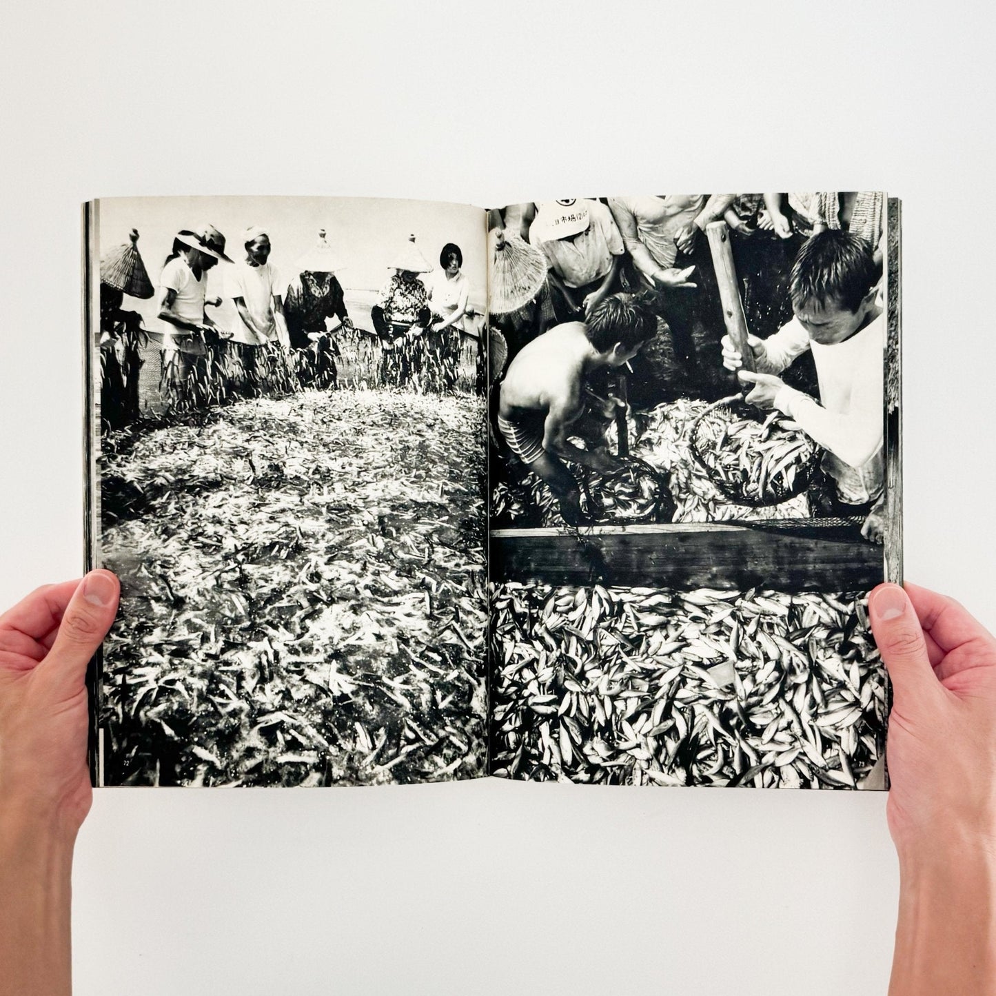 小関与四郎　九十九里浜　海に生きる人々 - 木耳社 - 文福