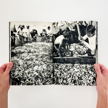 小関与四郎　九十九里浜　海に生きる人々 - 木耳社 - 文福