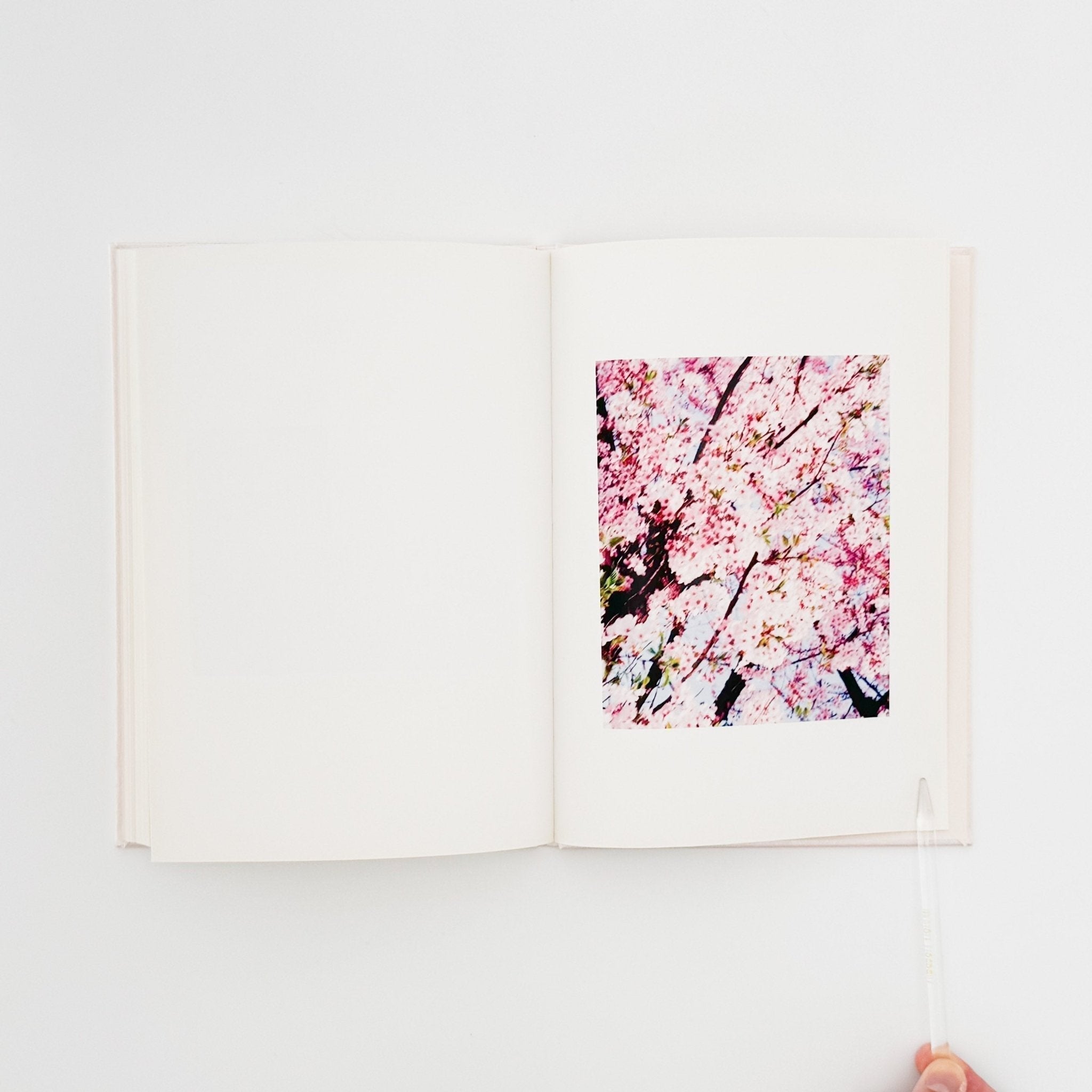 Kazugi Usui Photo Collection Showa 88 (Signed) – 文福