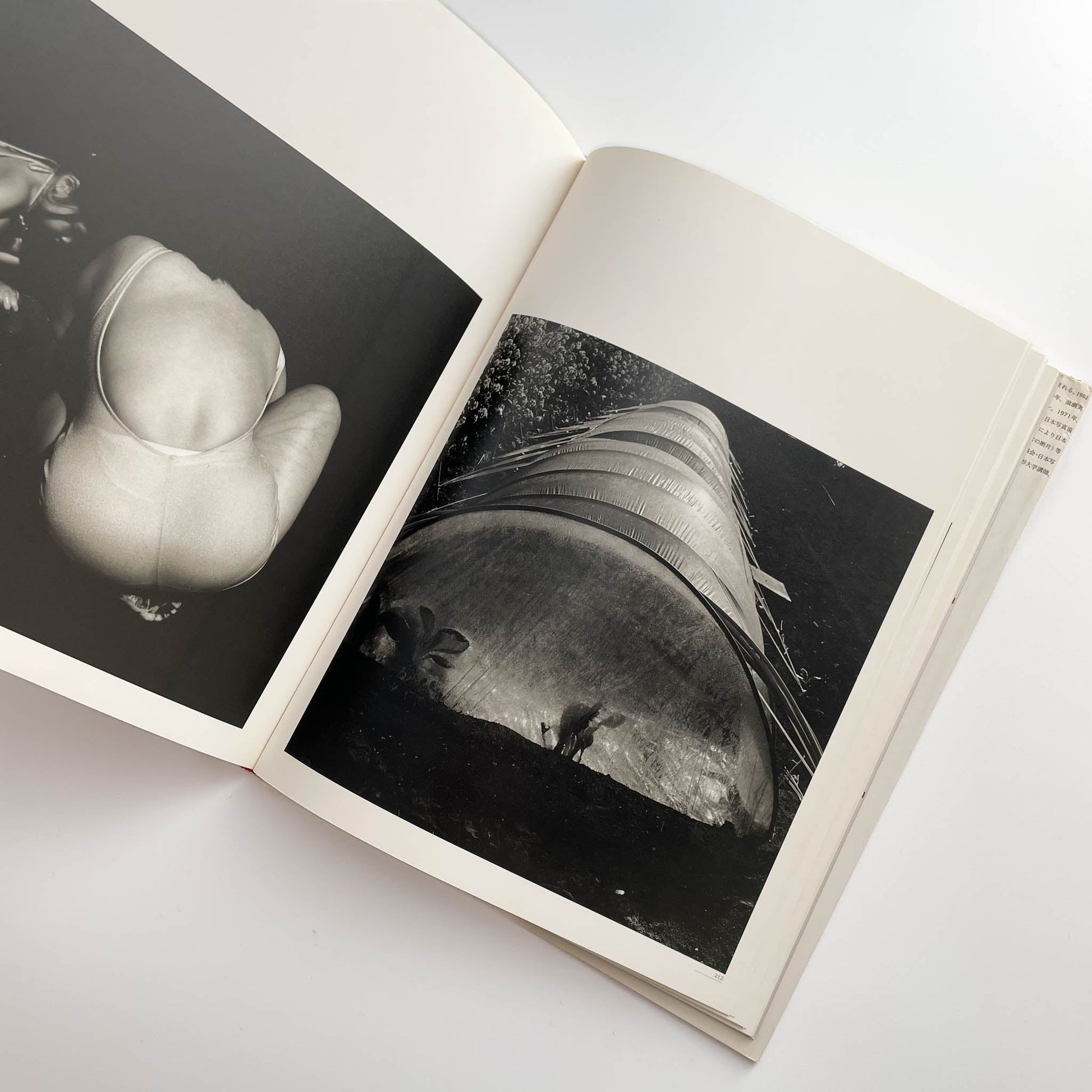 須田一政　人間の記憶 クレオ