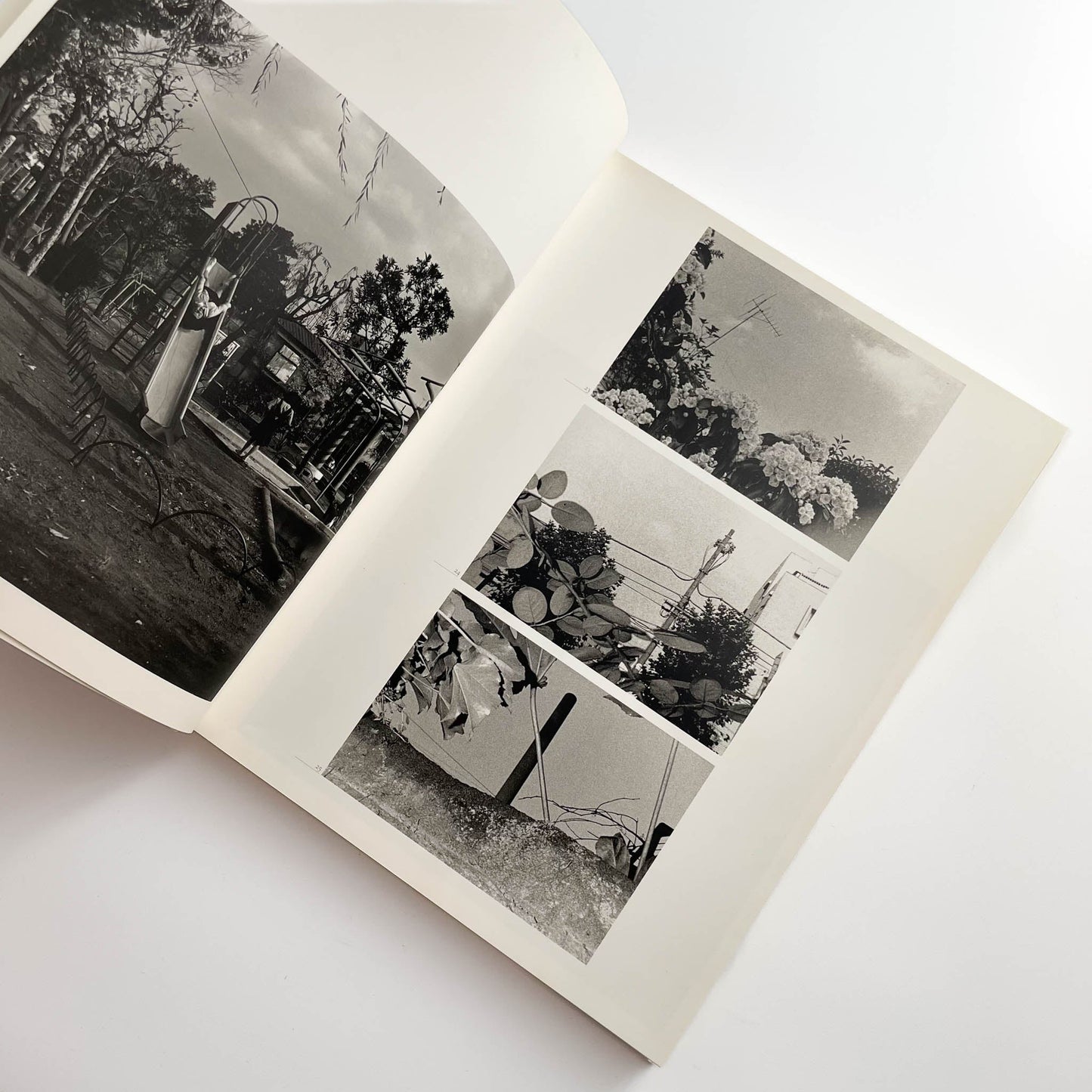 須田一政　人間の記憶 クレオ