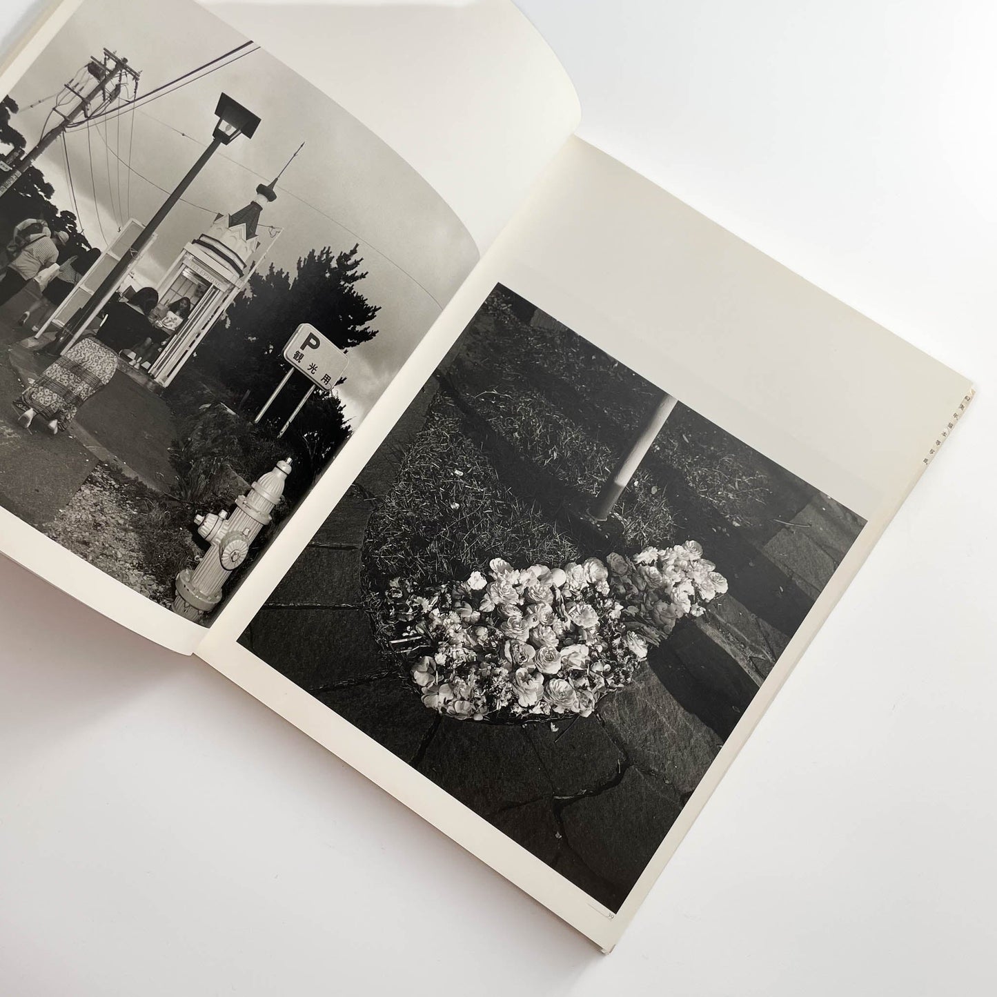 須田一政　人間の記憶 クレオ