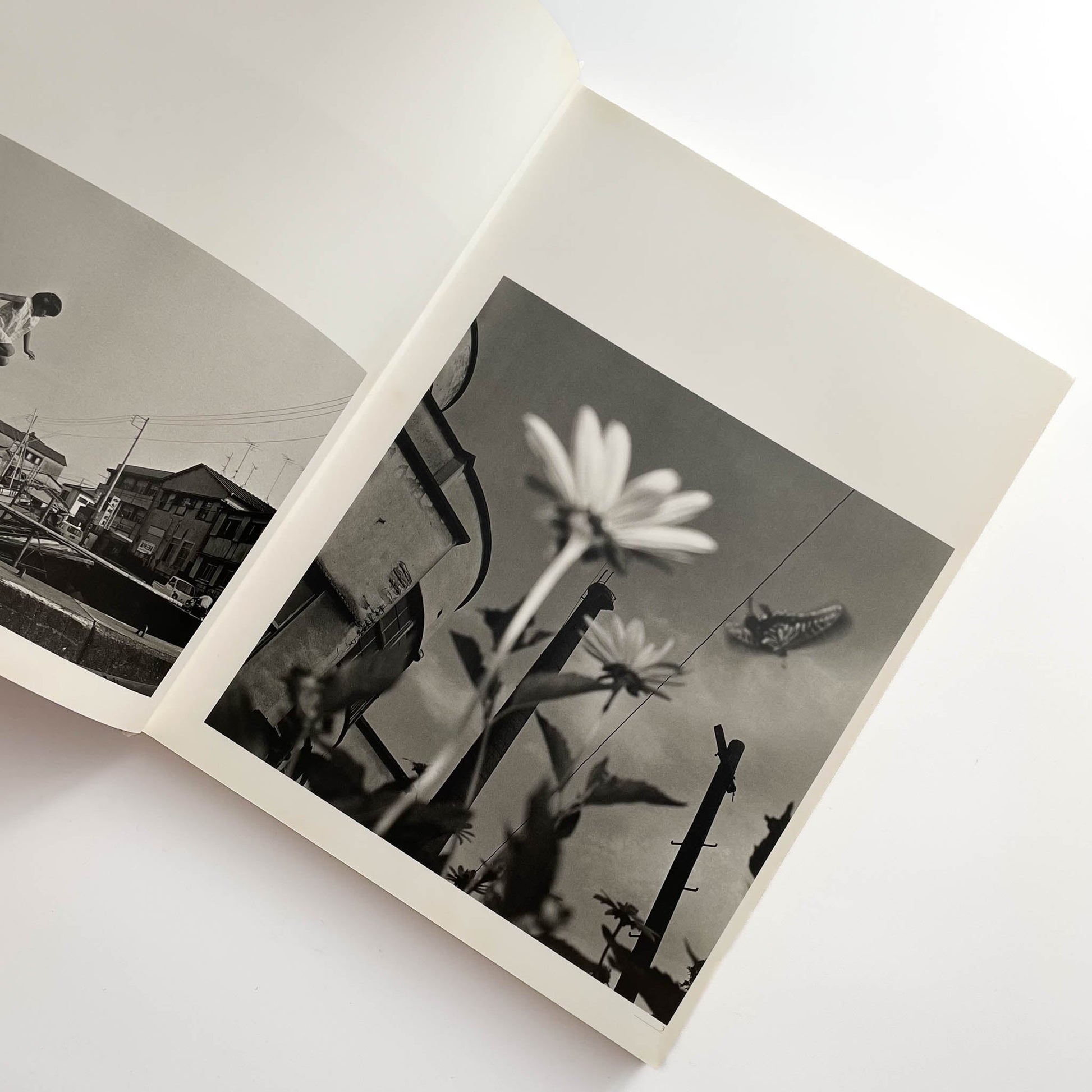 須田一政　人間の記憶 クレオ