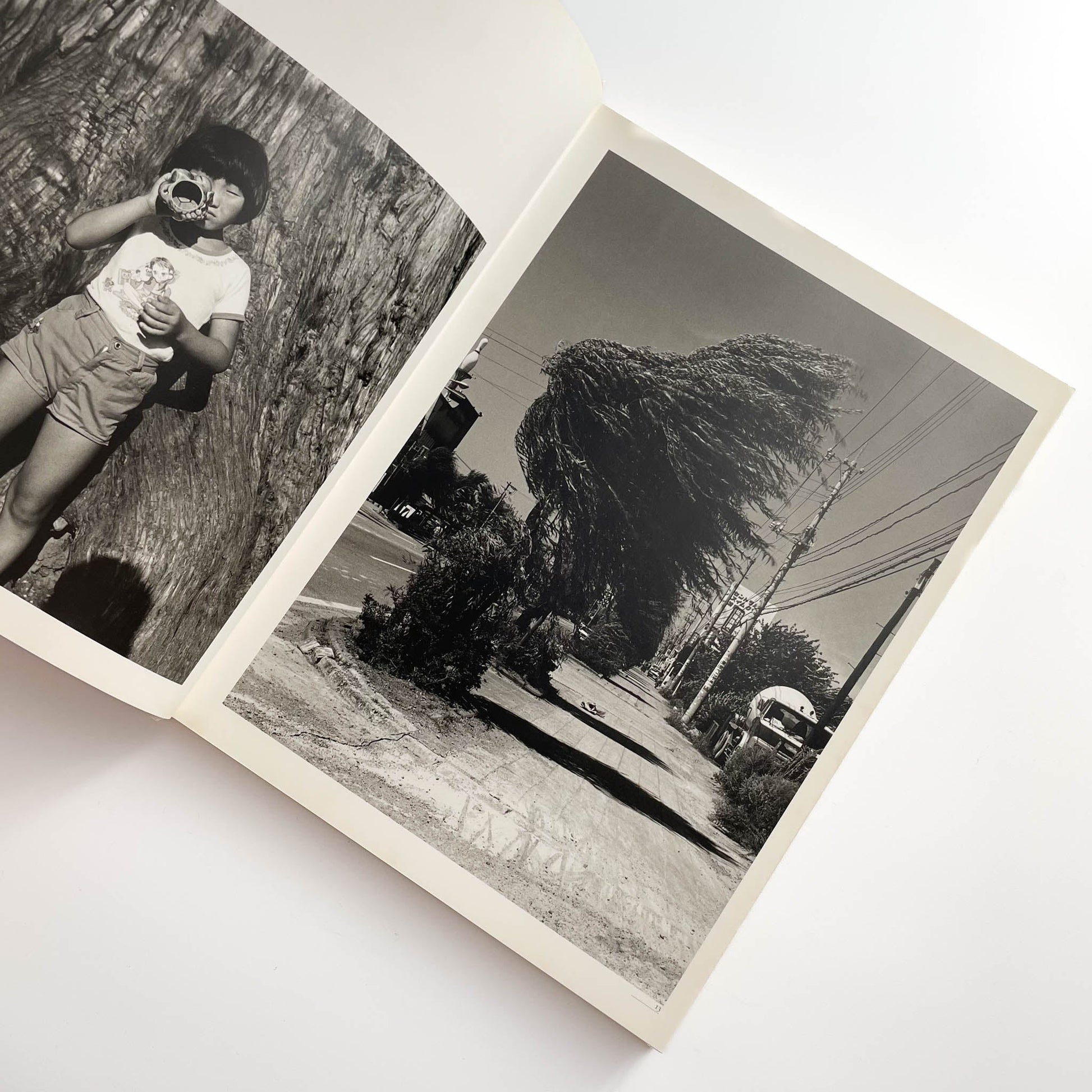 須田一政　人間の記憶 クレオ