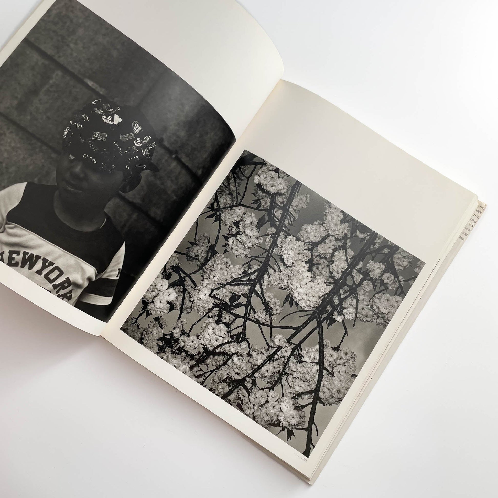 須田一政　人間の記憶 クレオ