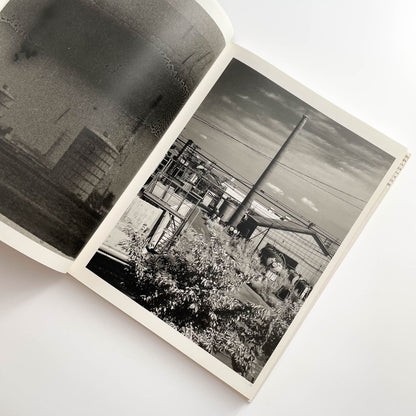 須田一政　人間の記憶 クレオ