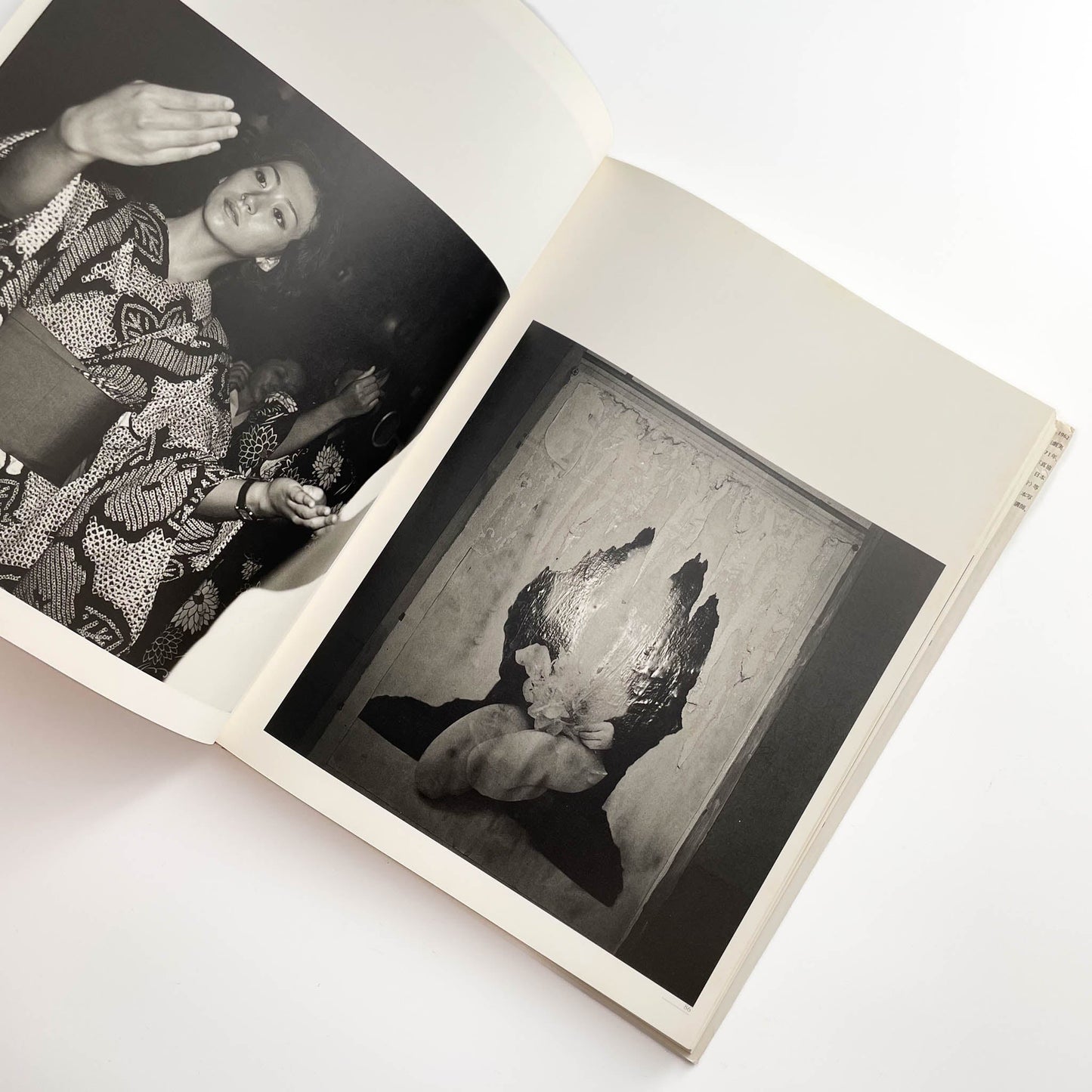 須田一政　人間の記憶 クレオ