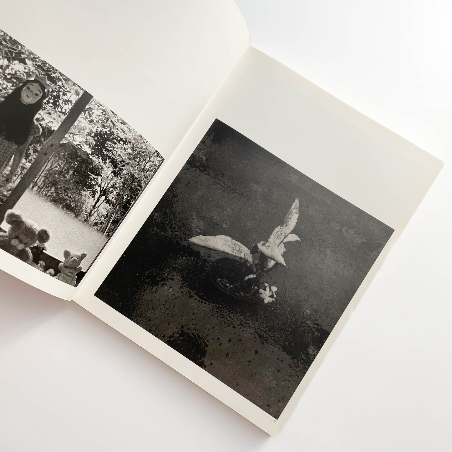 須田一政　人間の記憶 クレオ