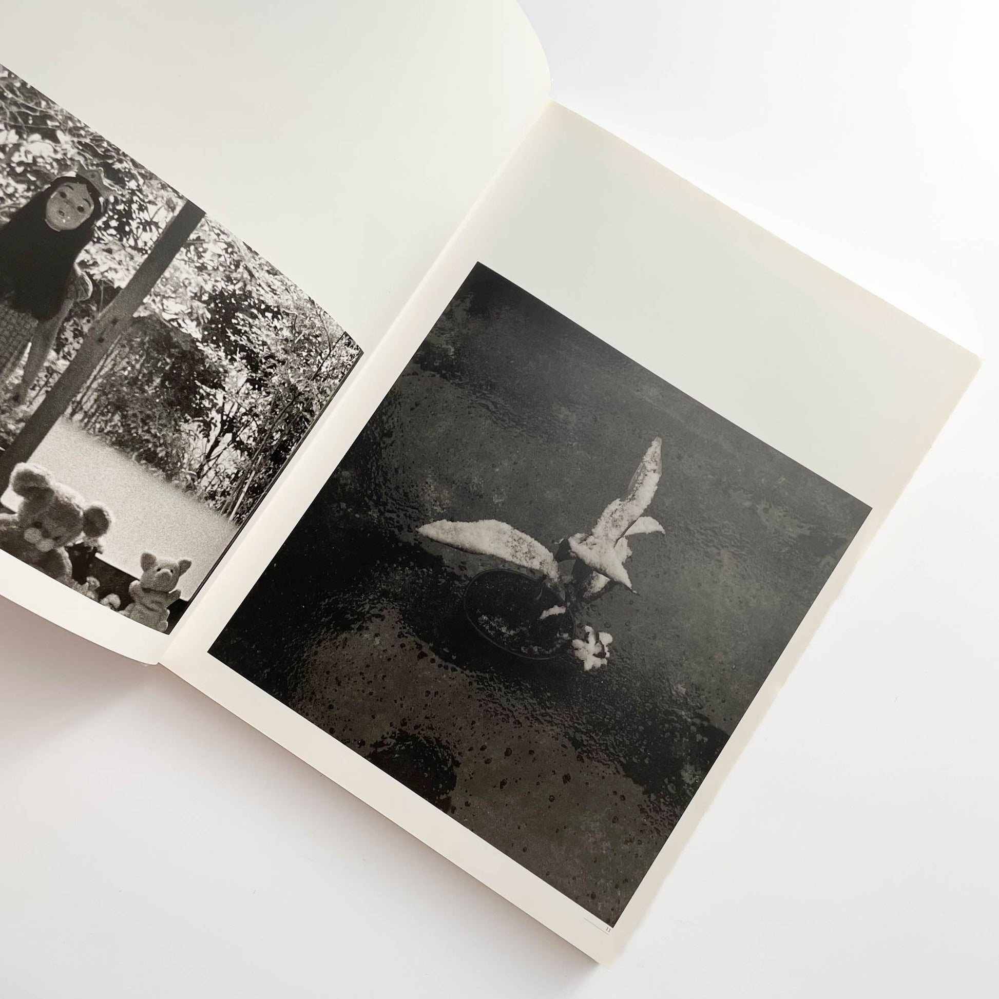 須田一政　人間の記憶 クレオ