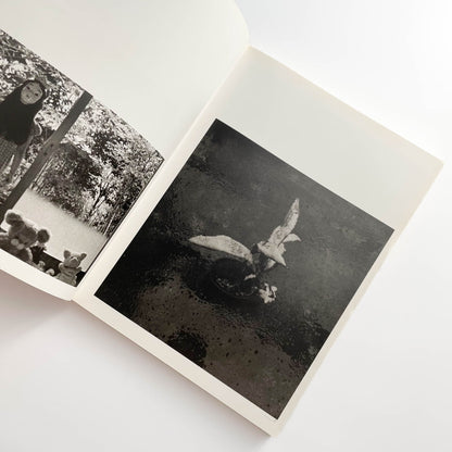 須田一政　人間の記憶 クレオ