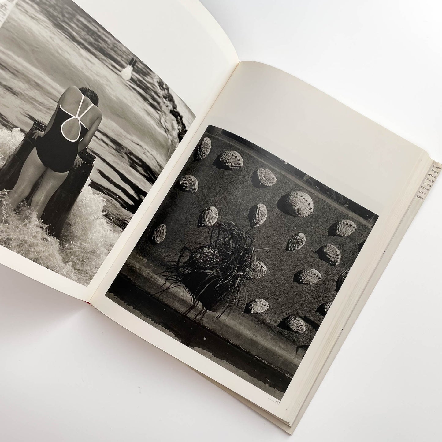 須田一政　人間の記憶 クレオ