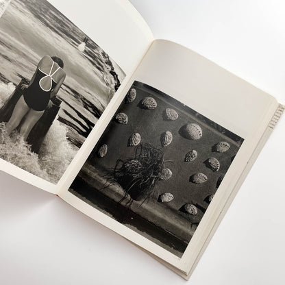 須田一政　人間の記憶 クレオ