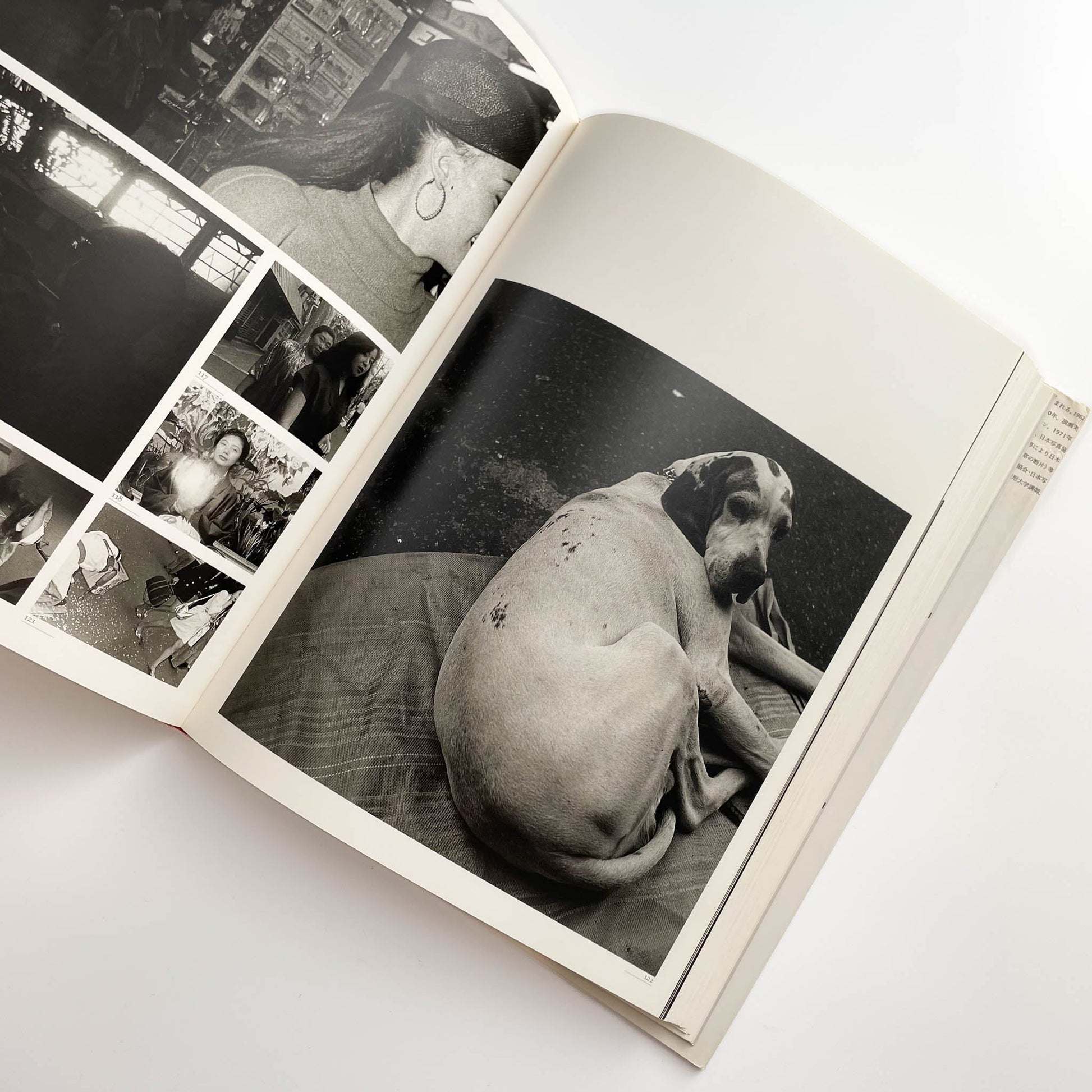 須田一政　人間の記憶 クレオ