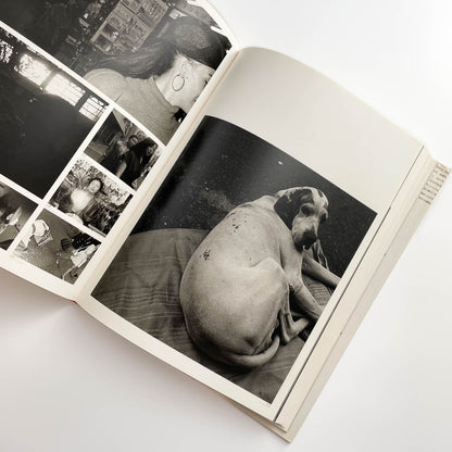 須田一政　人間の記憶 クレオ