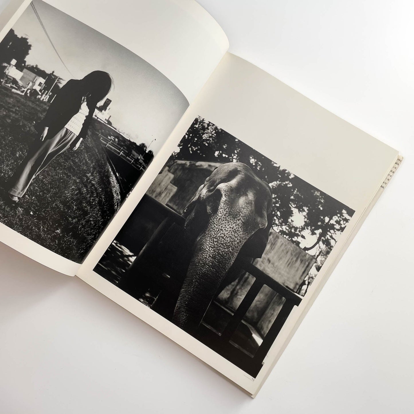 須田一政　人間の記憶 クレオ