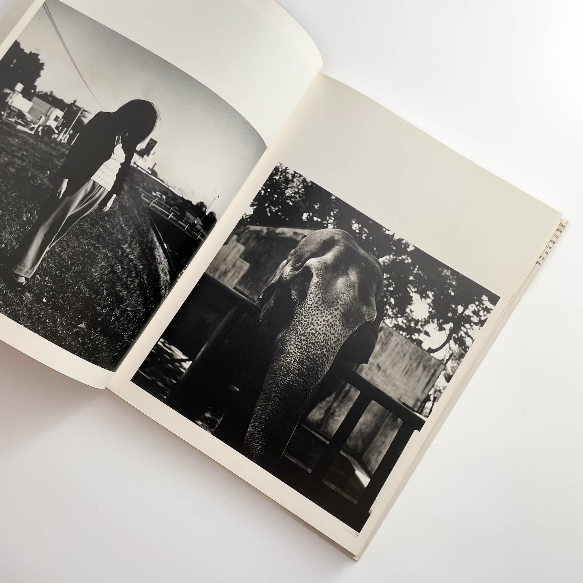 須田一政　人間の記憶 クレオ