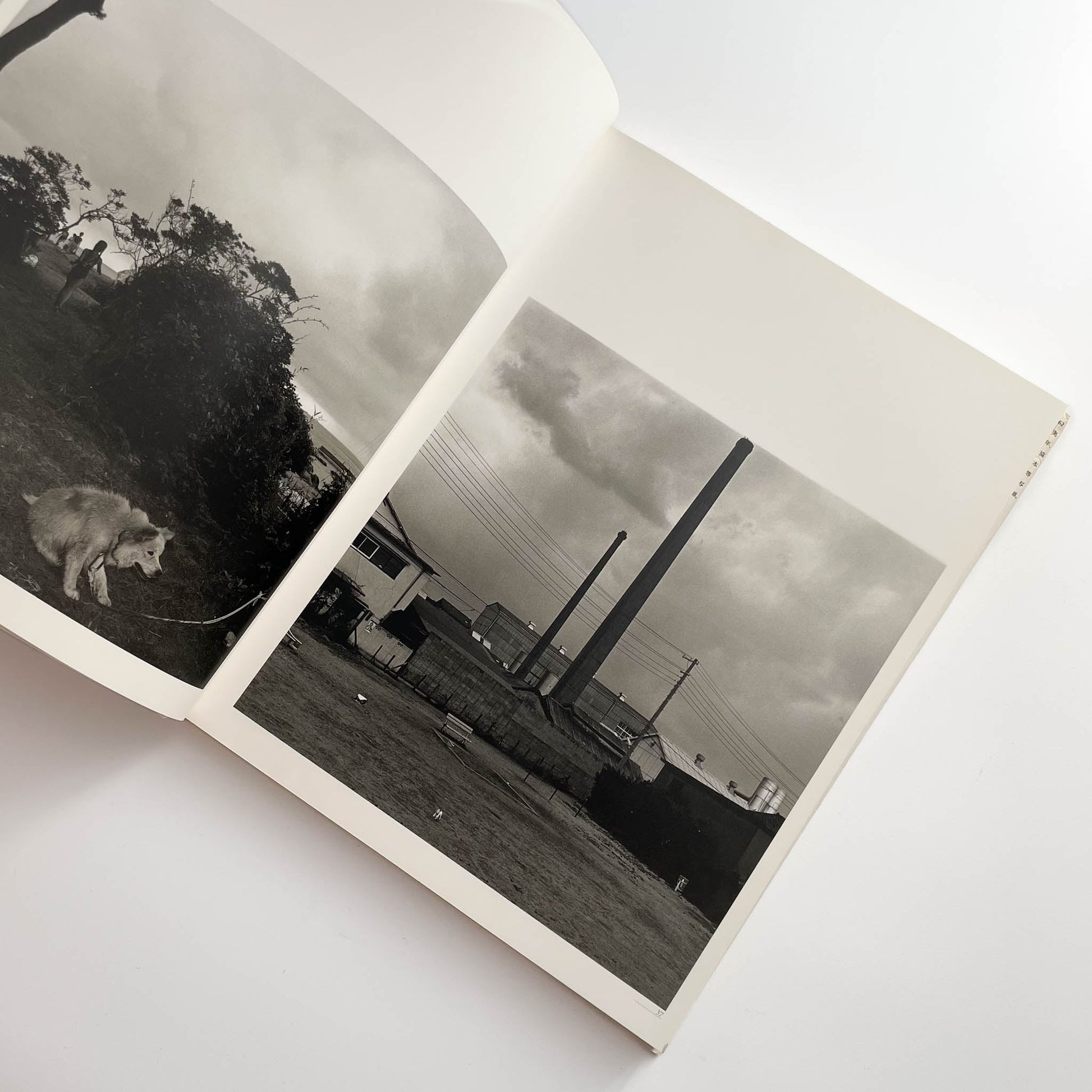 須田一政　人間の記憶 クレオ