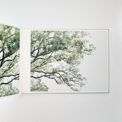 鈴木理策　海と山のあいだ  Between the Sea and the Mountain – Kumano アマナサルト