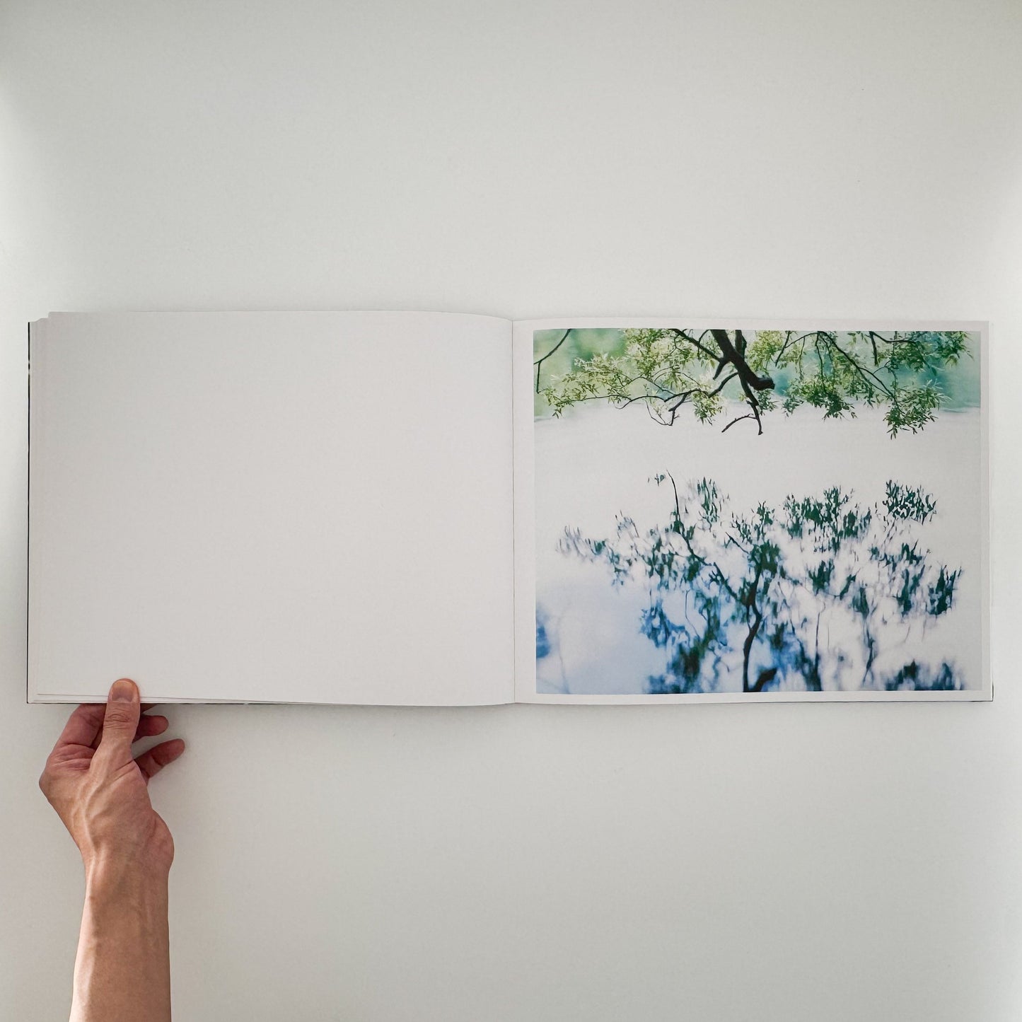 鈴木理策　Water Mirror Case Publishing