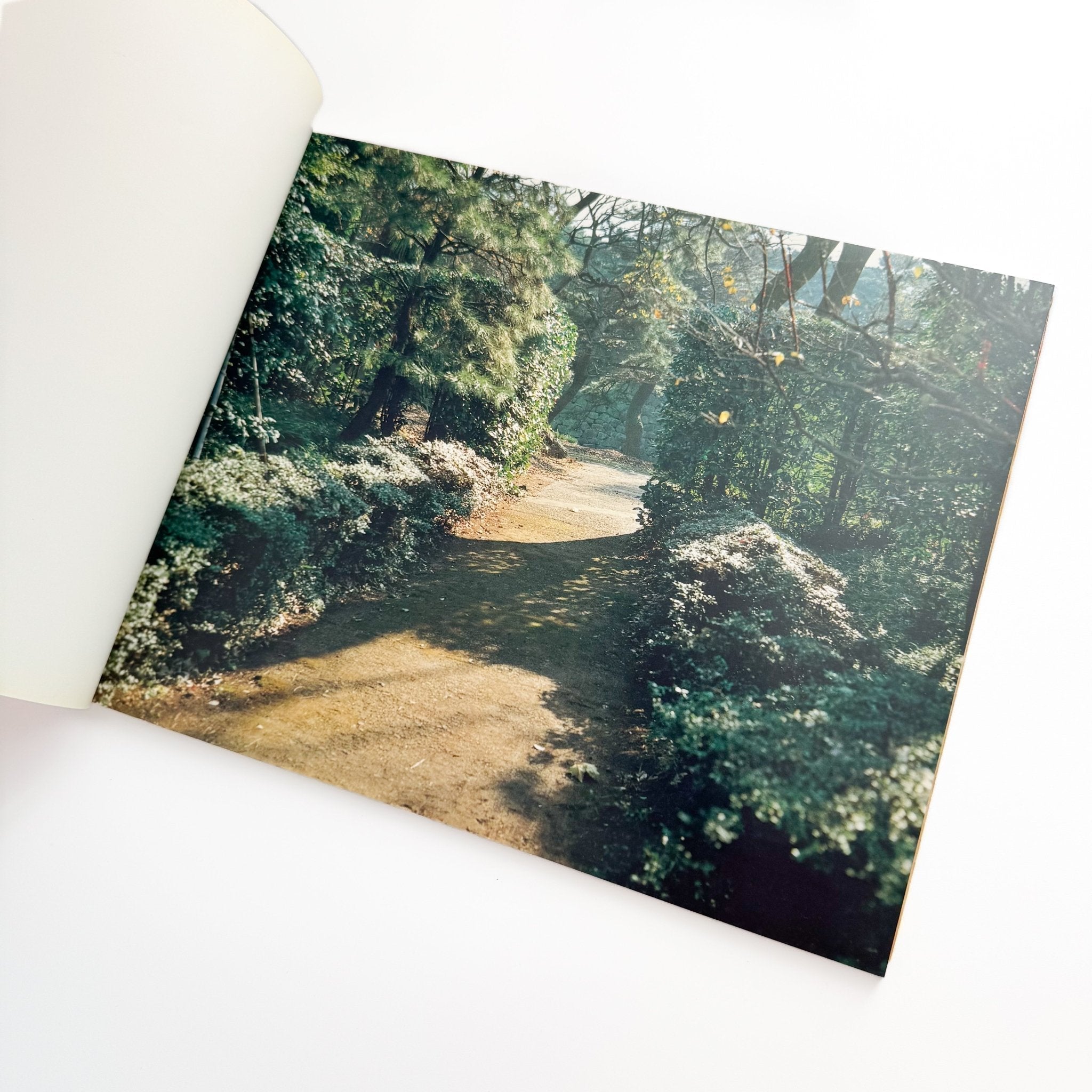 鈴木理策写真集 KUMANO / 光琳社出版 – 文福