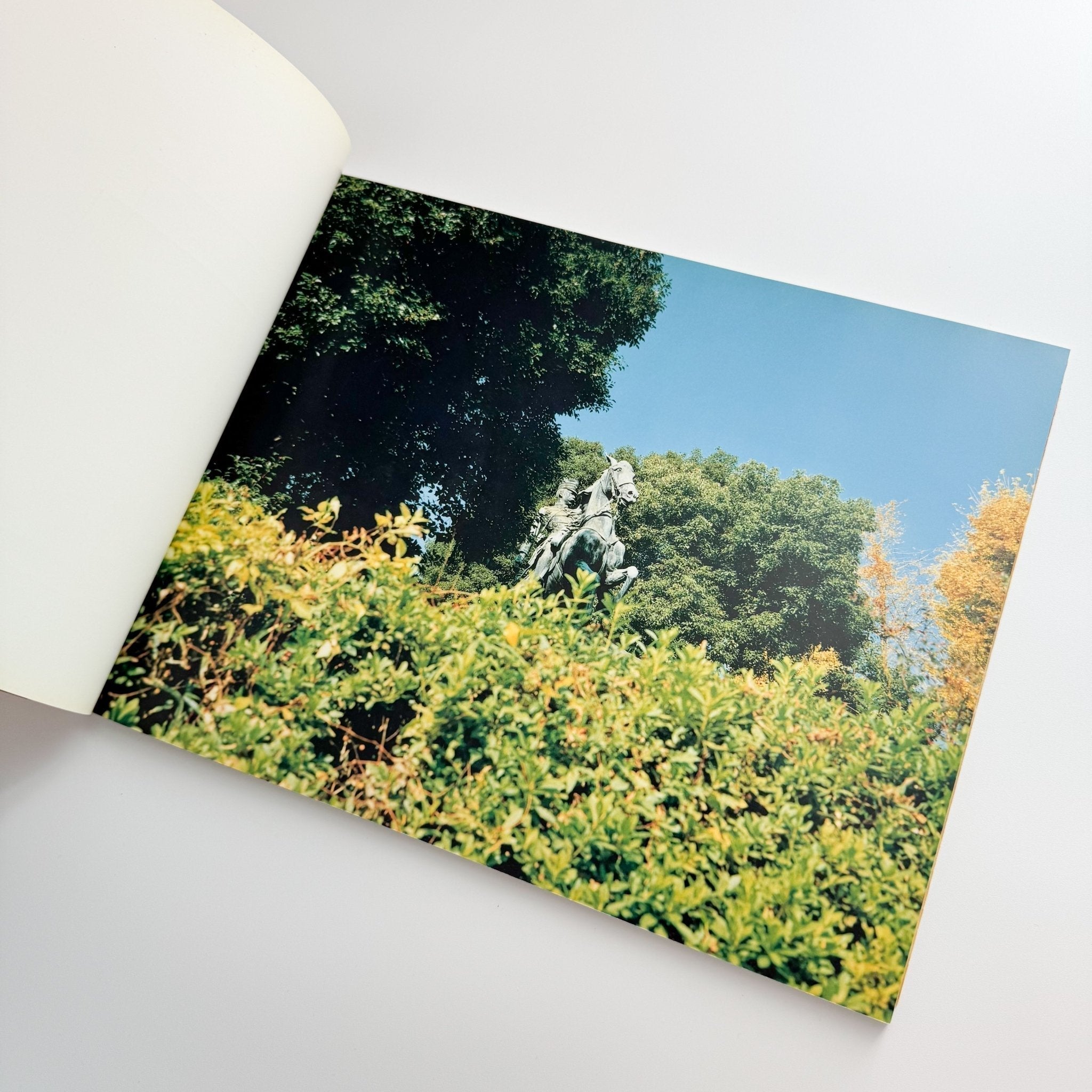 鈴木理策写真集 KUMANO / 光琳社出版 – 文福