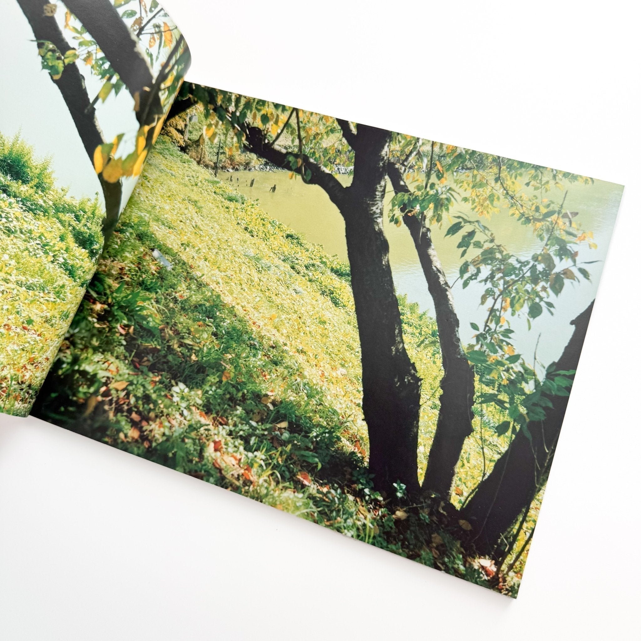KUMANO Risaku Suzuki　鈴木理策　写真集 鈴木理策写真集 KUMANO / 光琳社出版 – 文福