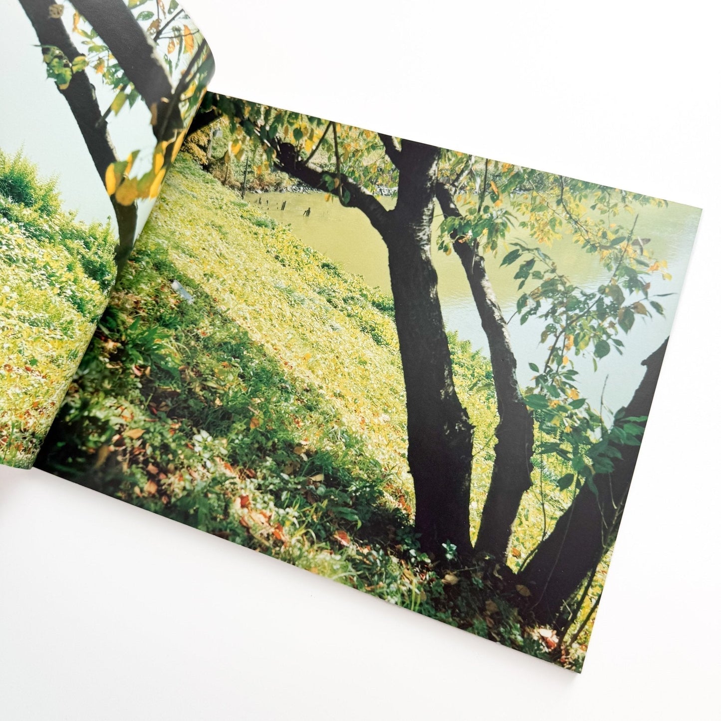 鈴木理策　KUMANO - 光琳社出版 - 文福