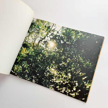 鈴木理策　KUMANO - 光琳社出版 - 文福