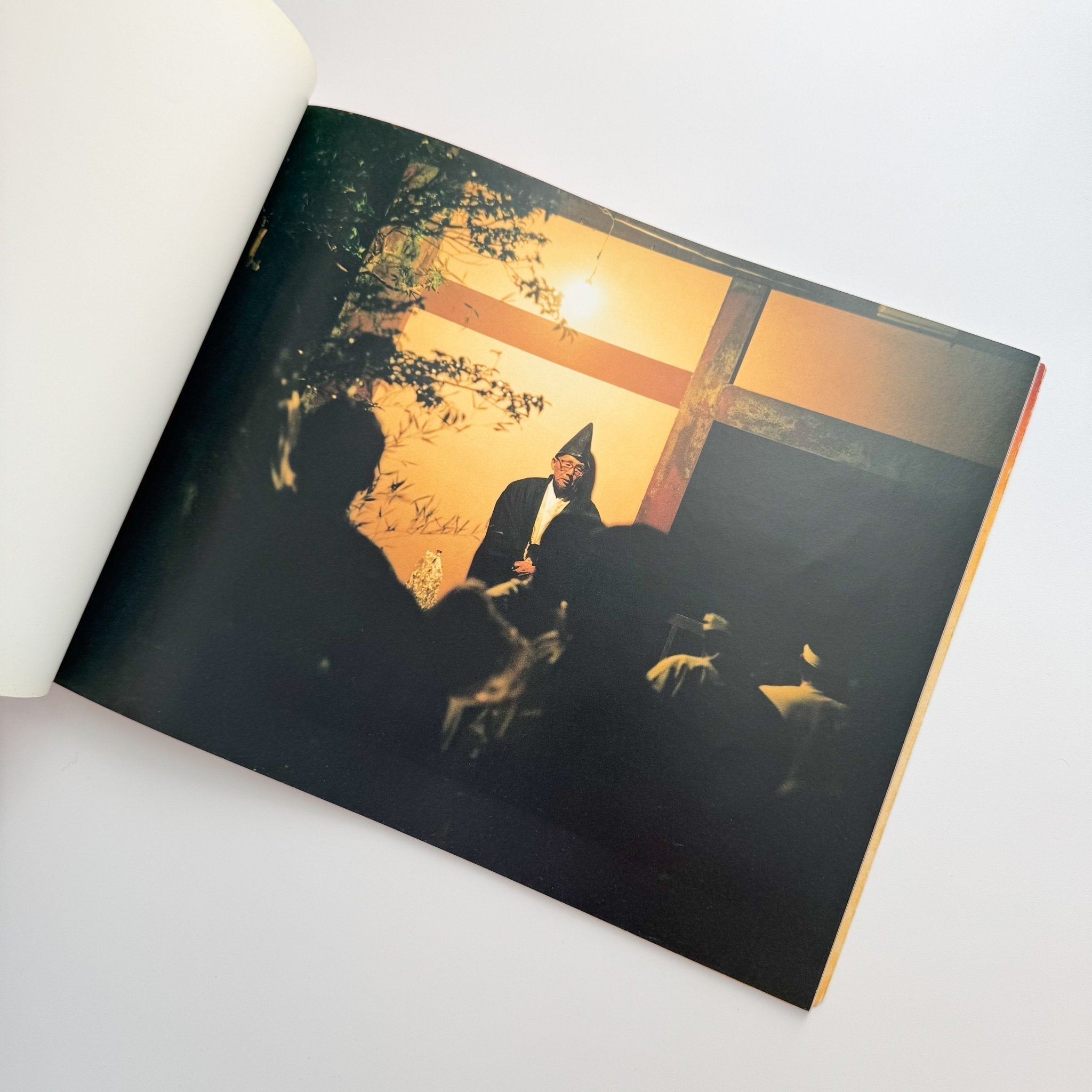 【希少品】「TORII」鈴木理策 写真集 Torii Risaku Suzuki (鈴木理策) – SUPER LABO