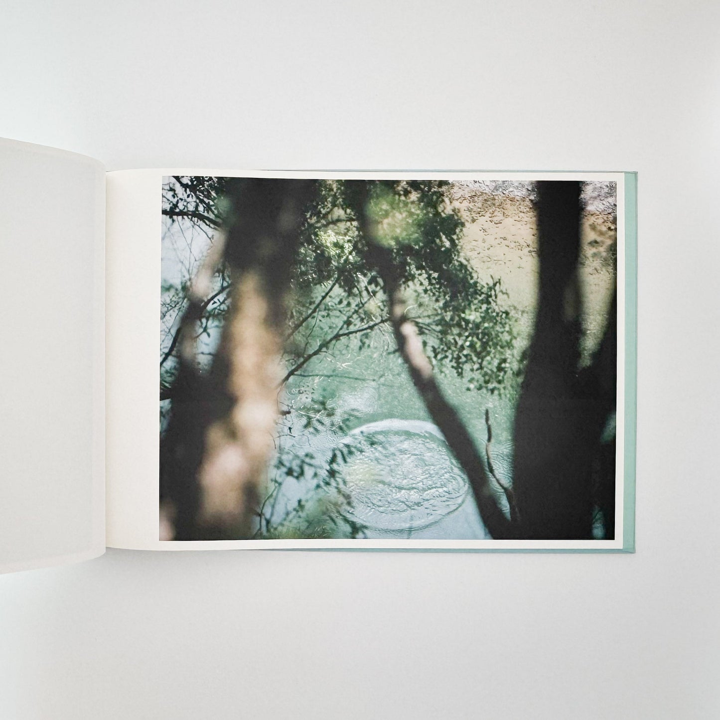 鈴木理策　海と山のあいだ  Between the Sea and the Mountain – Kumano アマナサルト