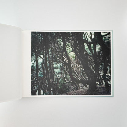 鈴木理策　海と山のあいだ Between the Sea and the Mountain – Kumano（サイン入り） - アマナサルト - 文福