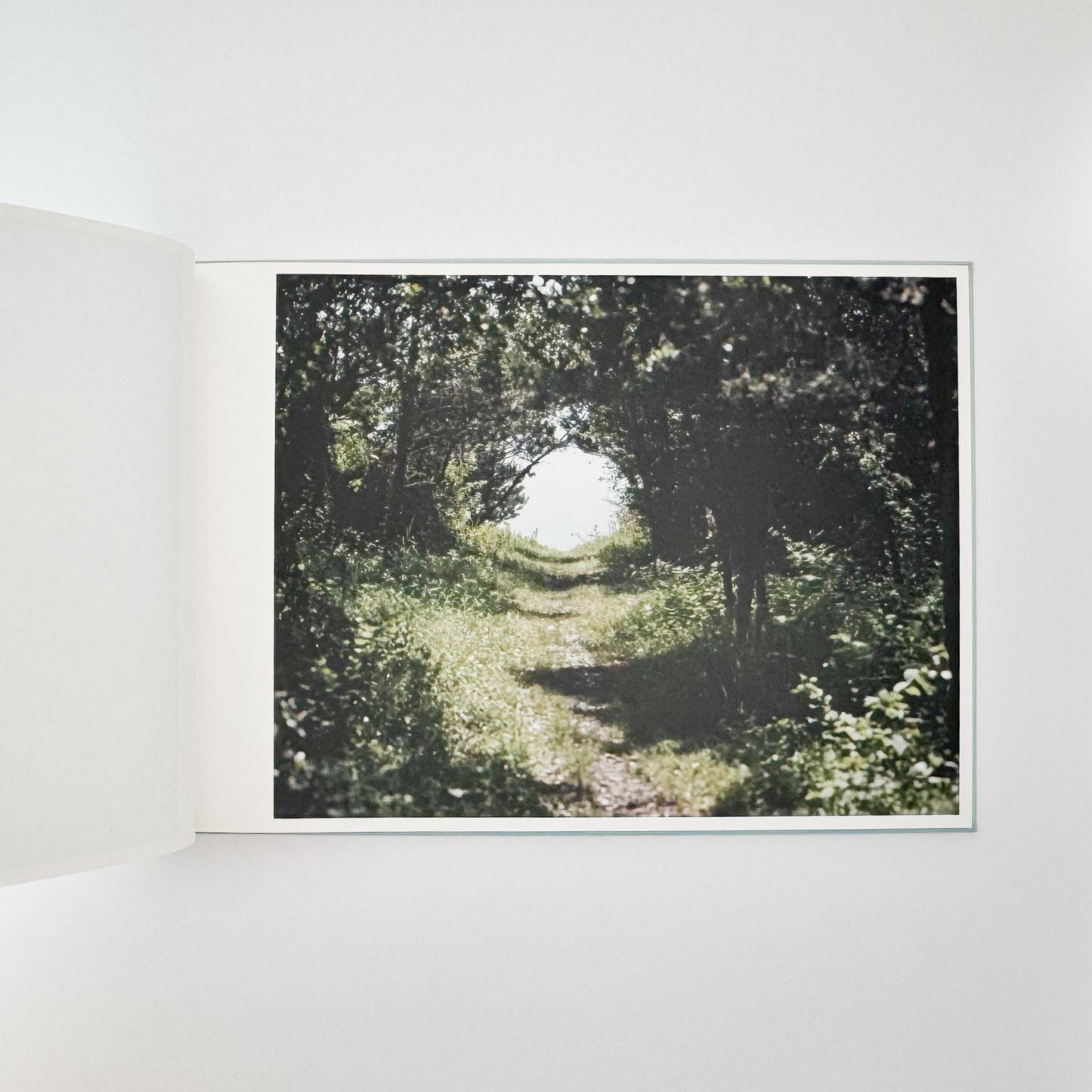 鈴木理策　海と山のあいだ  Between the Sea and the Mountain – Kumano アマナサルト