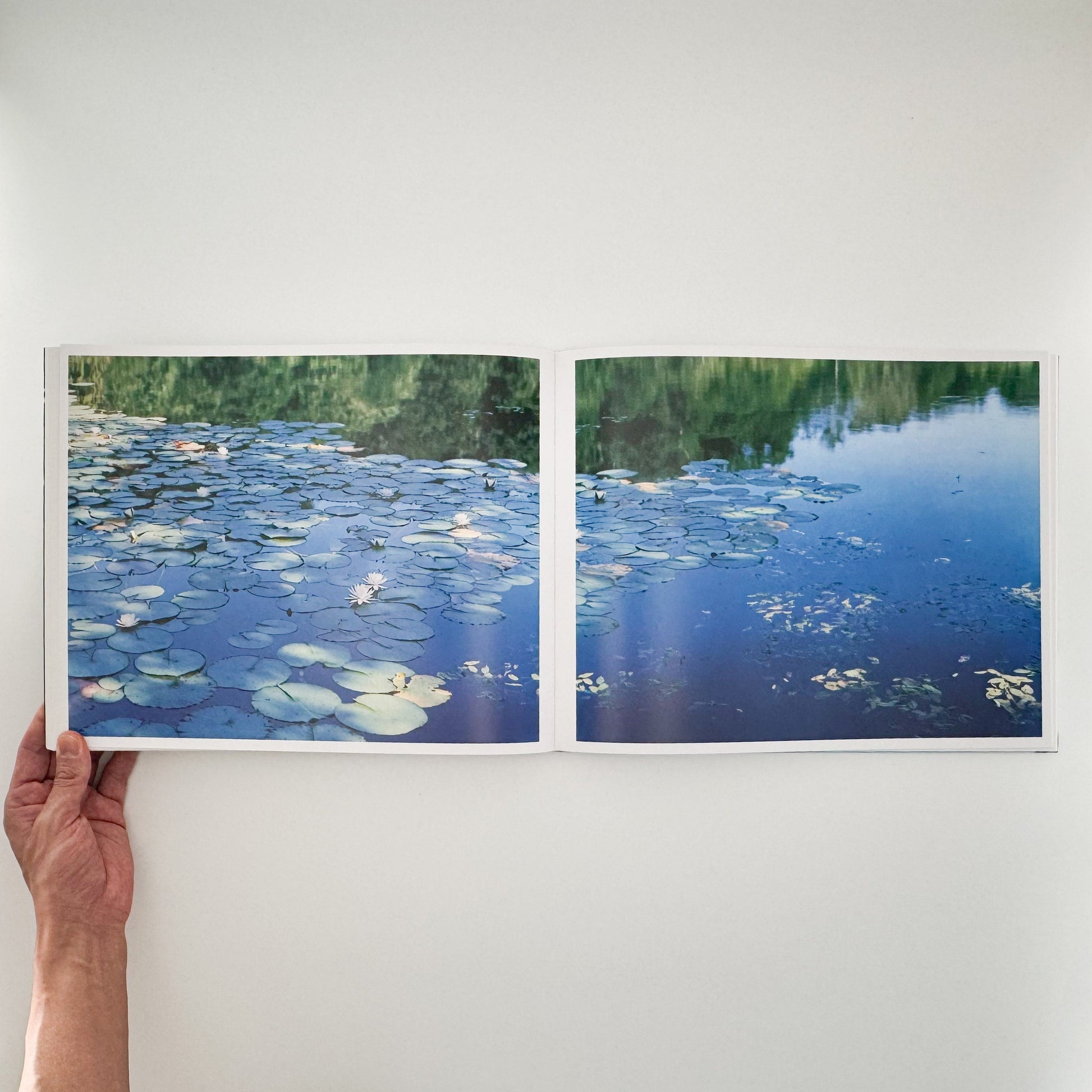 鈴木理策　Water Mirror Case Publishing