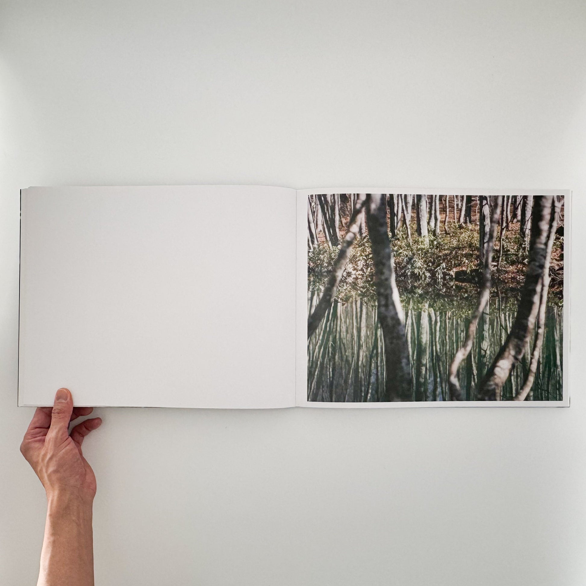 鈴木理策　Water Mirror Case Publishing