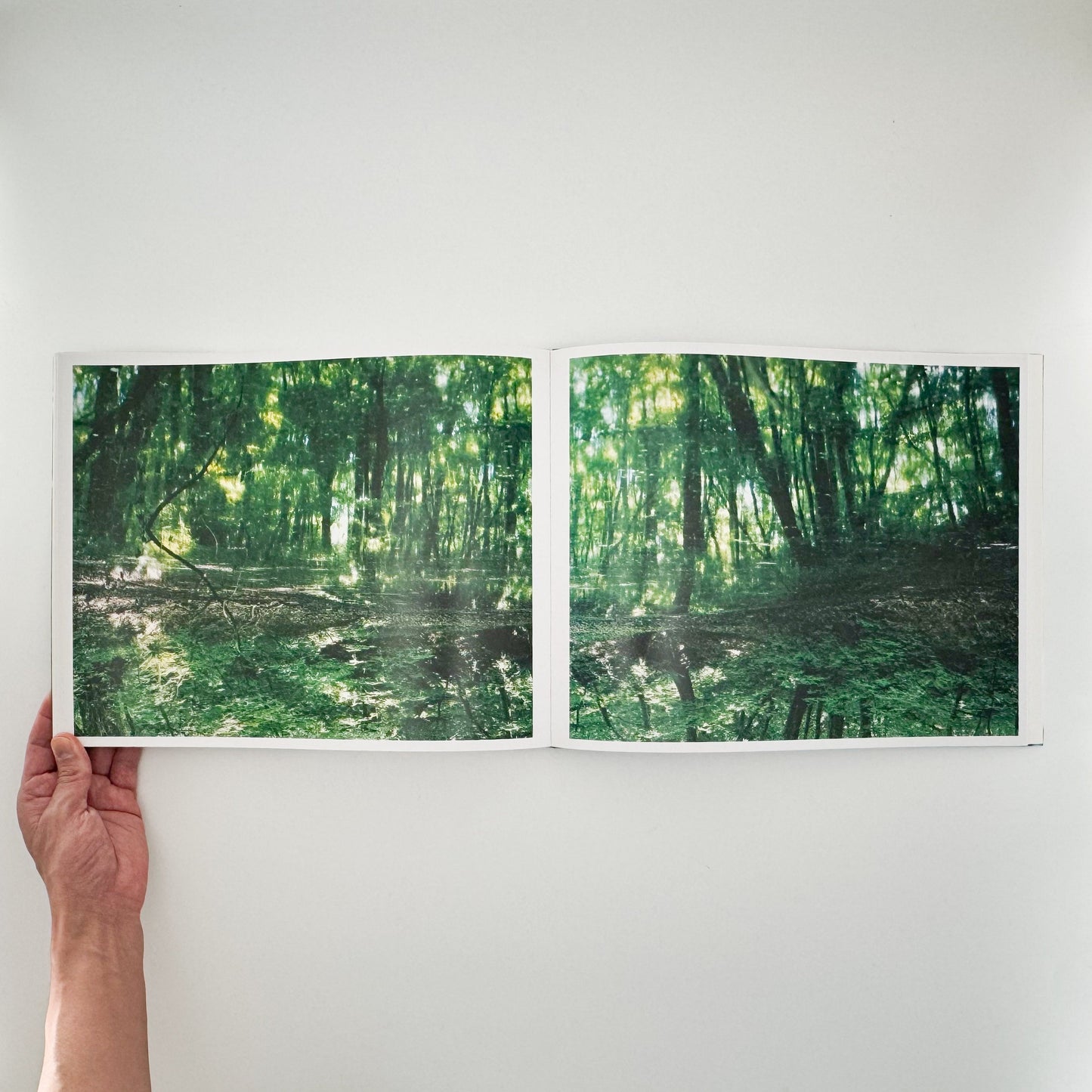 鈴木理策　Water Mirror Case Publishing