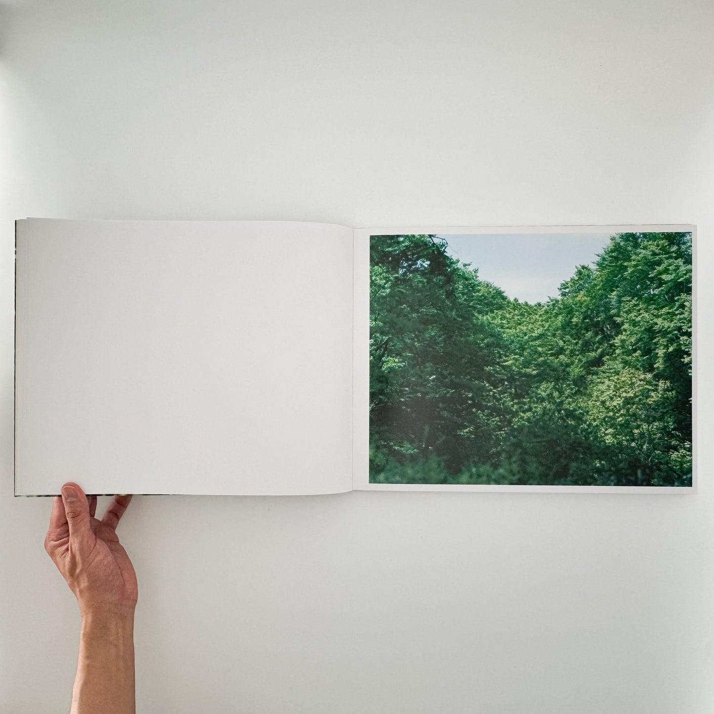 鈴木理策　Water Mirror Case Publishing