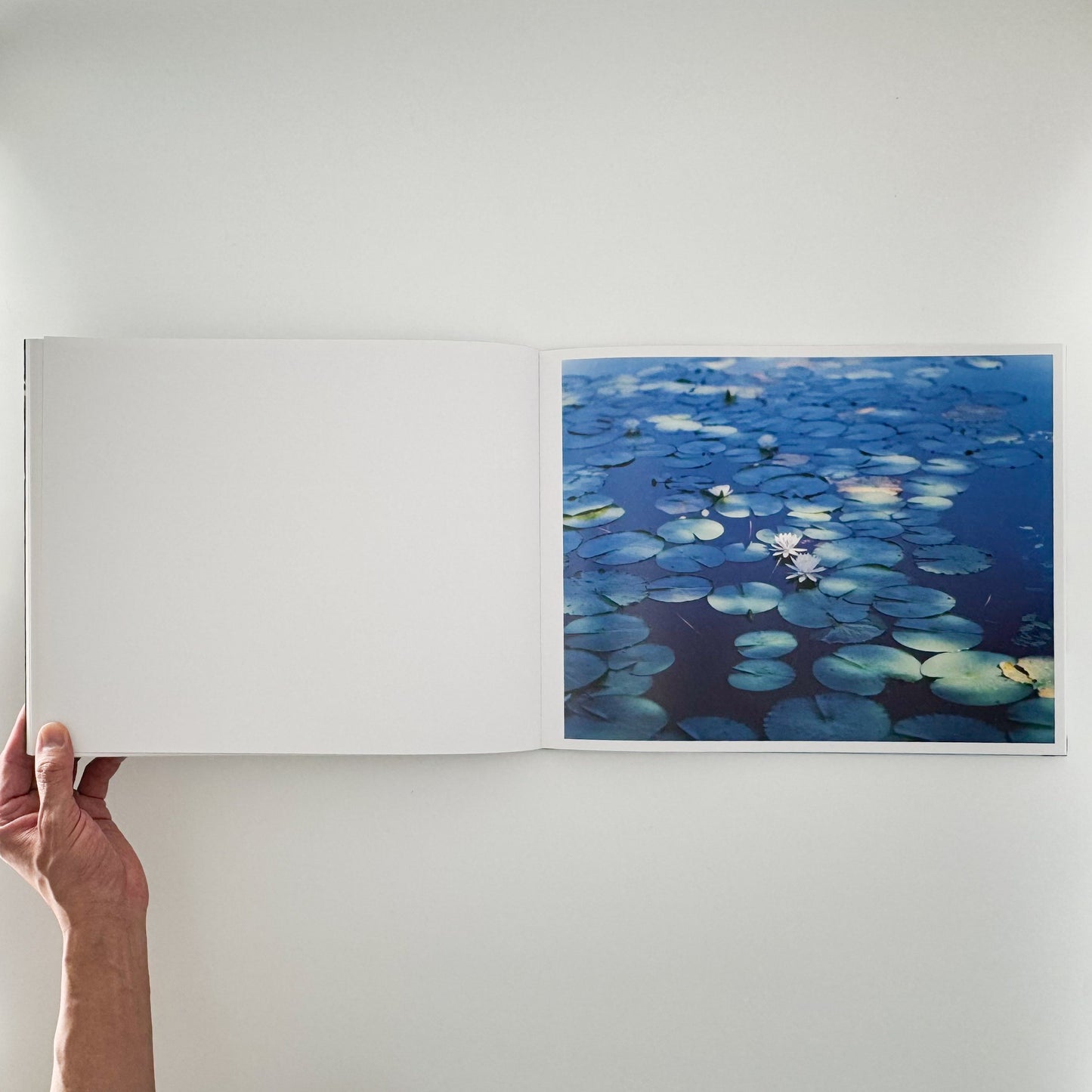 鈴木理策　Water Mirror Case Publishing